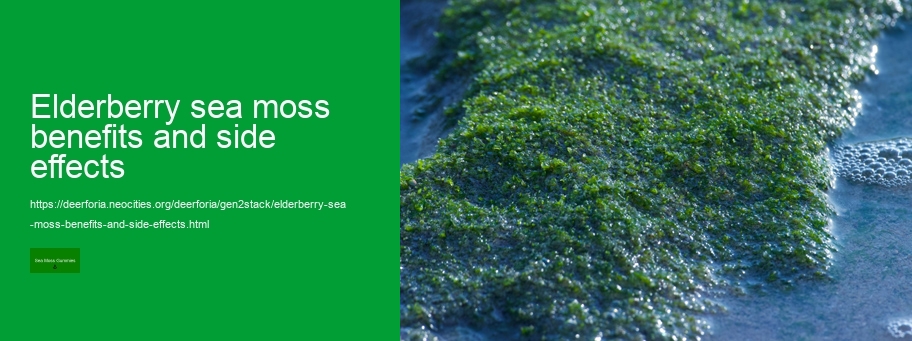 bucklebury sea moss gummies